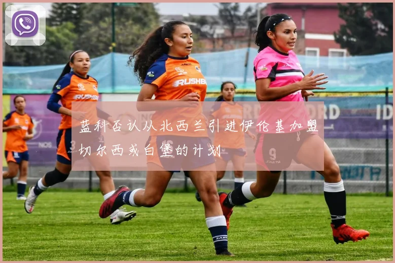 蓝科否认从北西兰引进伊伦基加盟切尔西或白堡的计划